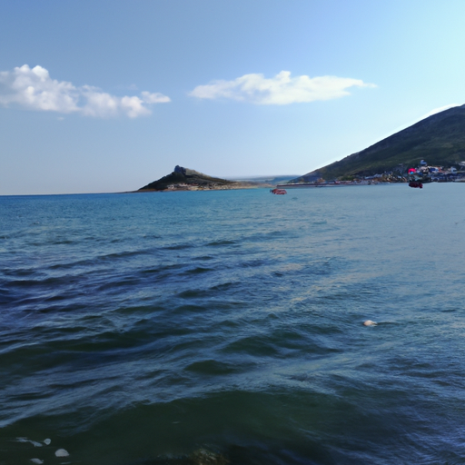 宝贝 (zoetis.lens) Lens social identity (.lens handle) PFP