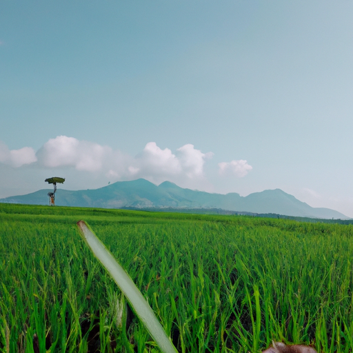 serendipity 🌿 (wabisabi.lens) Lens social identity (.lens handle) PFP