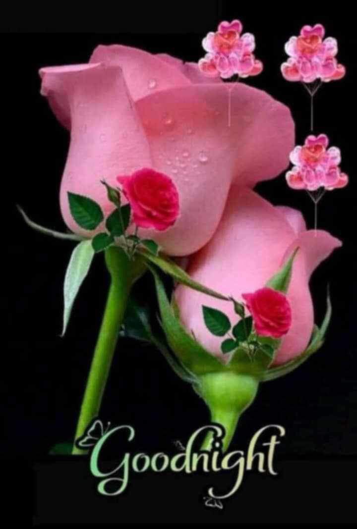 Kelvin d (kelvind.lens) Lens social identity (.lens handle) PFP