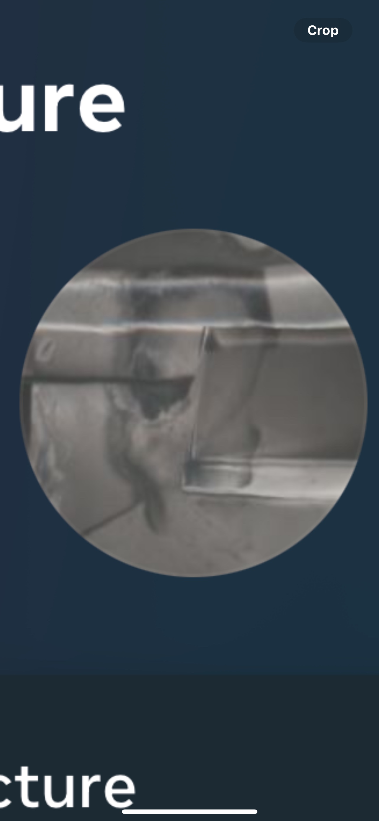 j1ggy (j1ggy.lens) Lens social identity (.lens handle) PFP