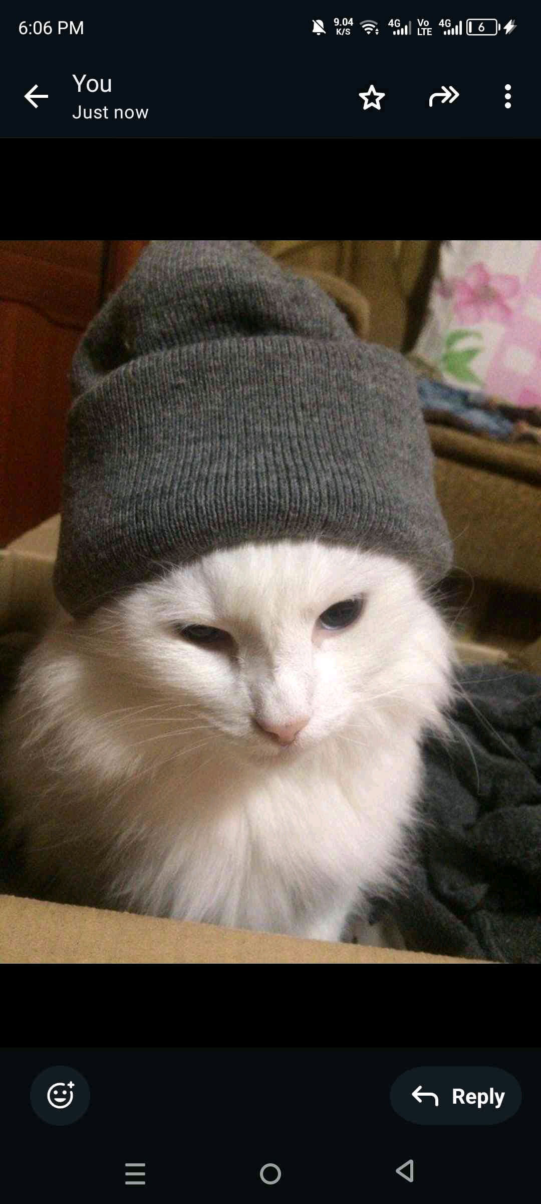 MunchMunch (munchmunch.lens) Lens social identity (.lens handle) PFP