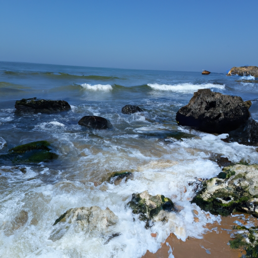 Vitalink (viatris.lens) Lens social identity (.lens handle) PFP