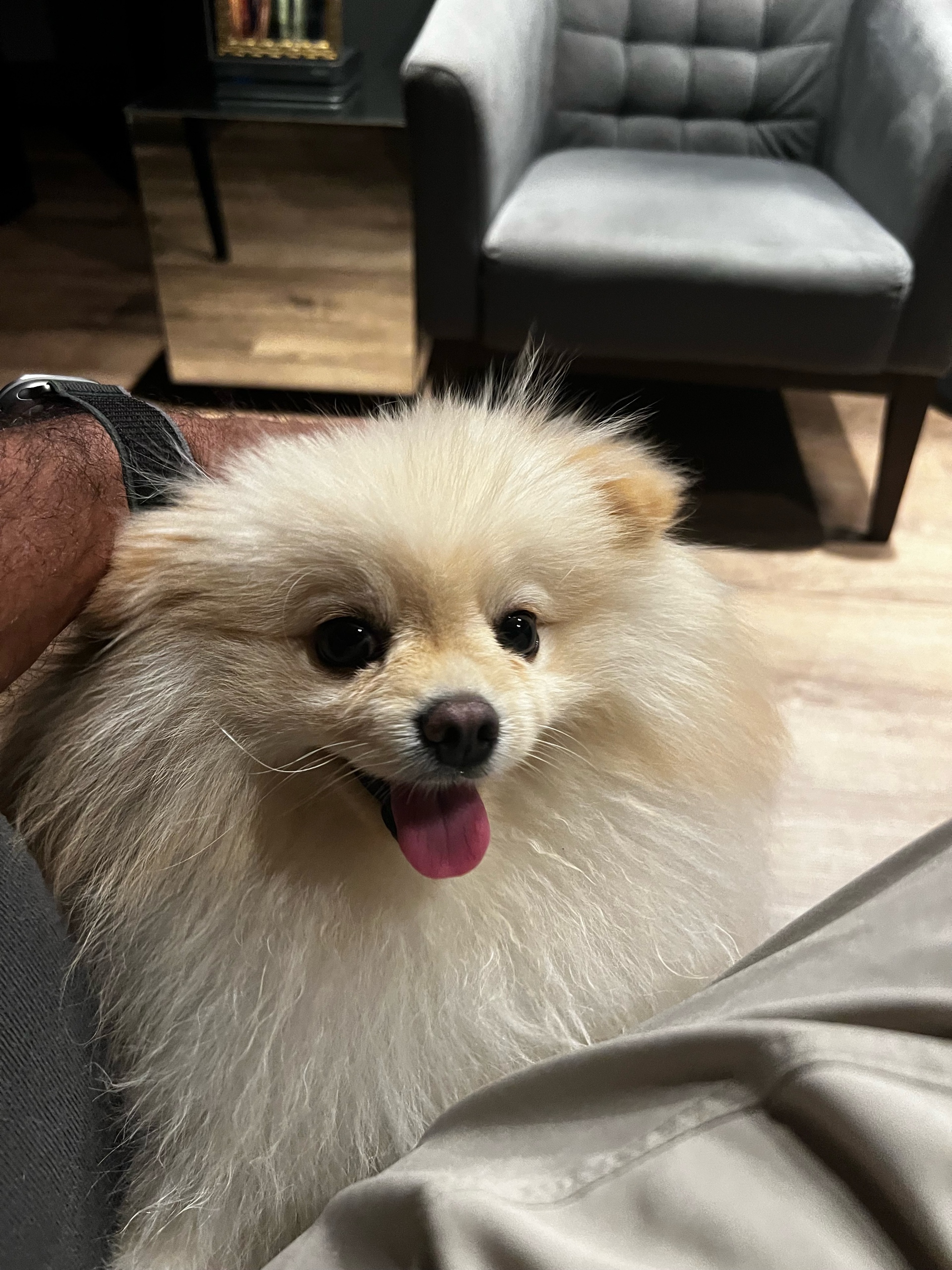 Leandro Veiga (lveiga.lens) Lens social identity (.lens handle) PFP