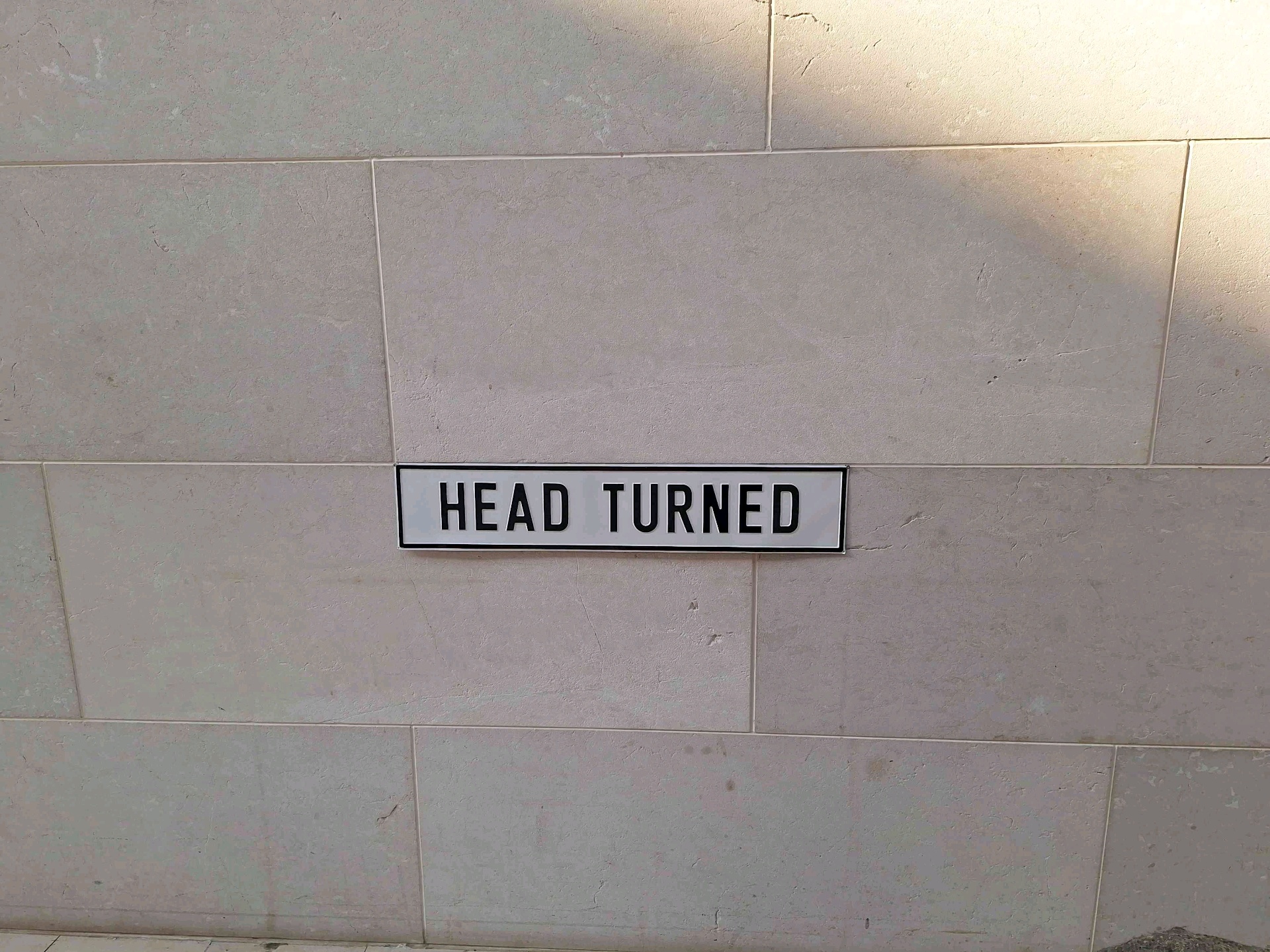 mollis (mollis.lens) Lens social identity (.lens handle) PFP