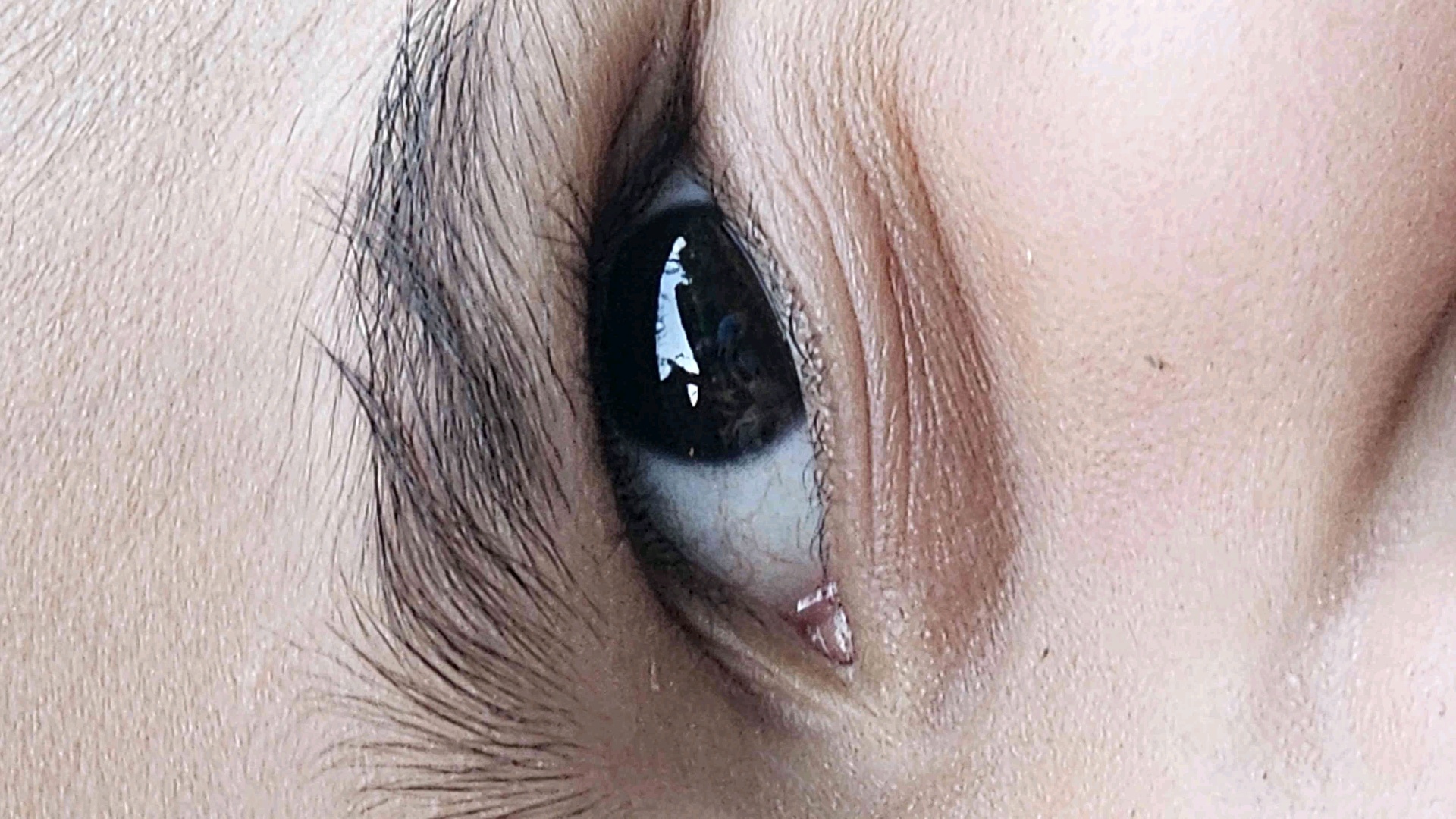 YPatcho (0xyanpatcho.lens) Lens social identity (.lens handle) PFP