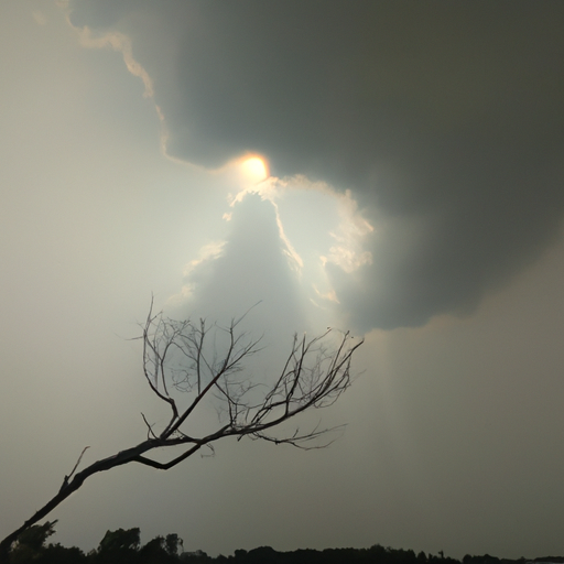 oglaze (ogilvy.lens) Lens social identity (.lens handle) PFP