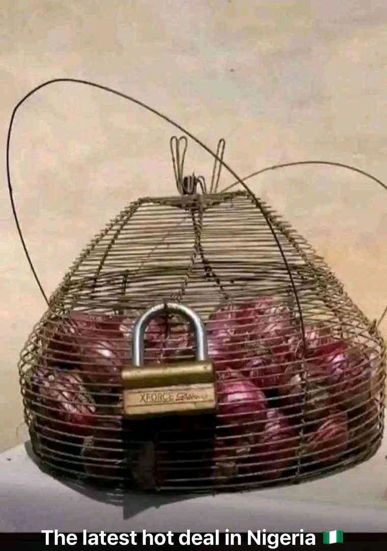 Mykeyzlib (mykeyzlib.lens) Lens social identity (.lens handle) PFP