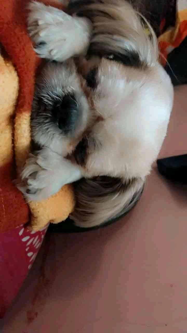 Radha (psych93.lens) Lens social identity (.lens handle) PFP