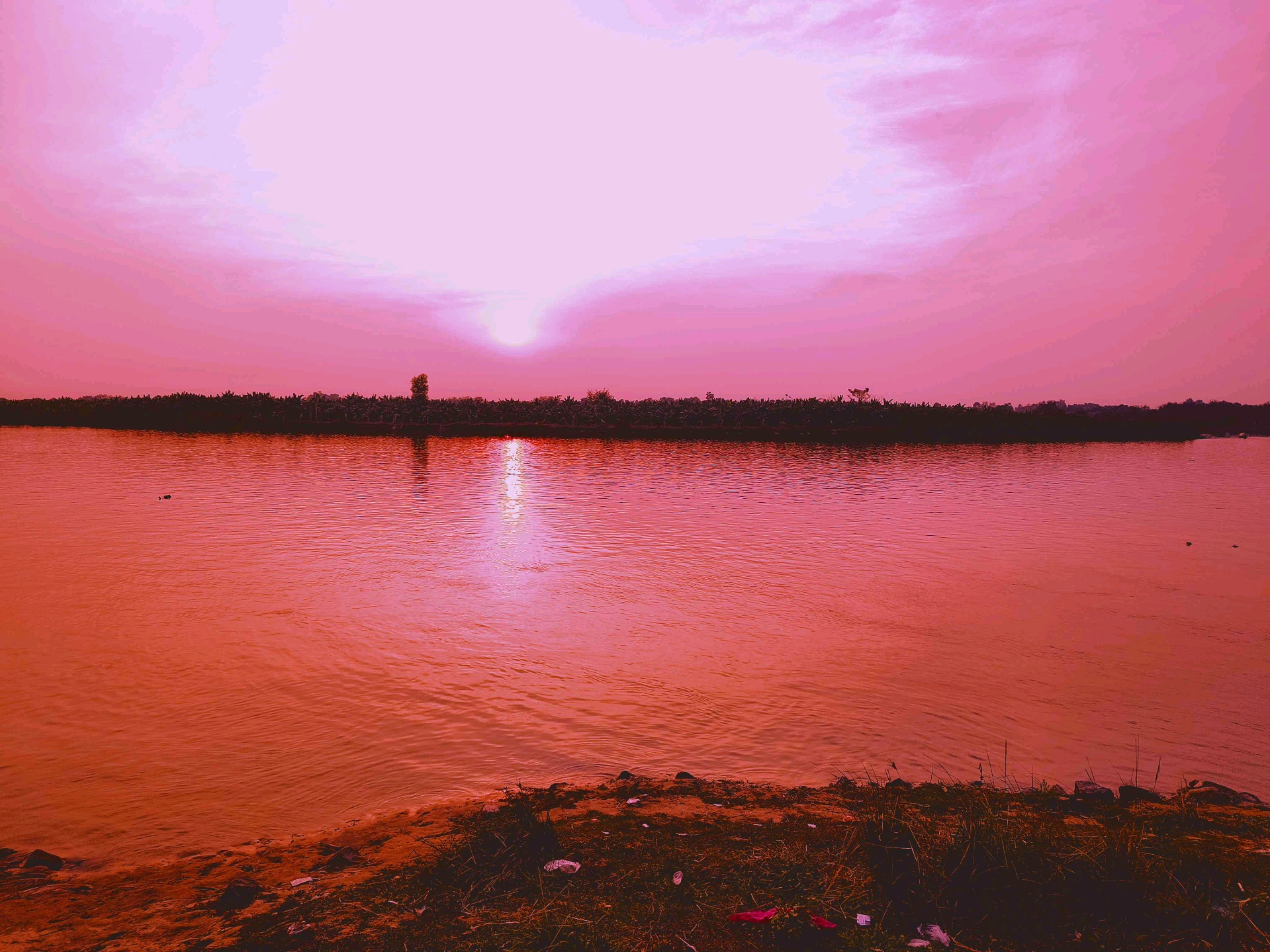 rit (ritroy.lens) Lens social identity (.lens handle) PFP