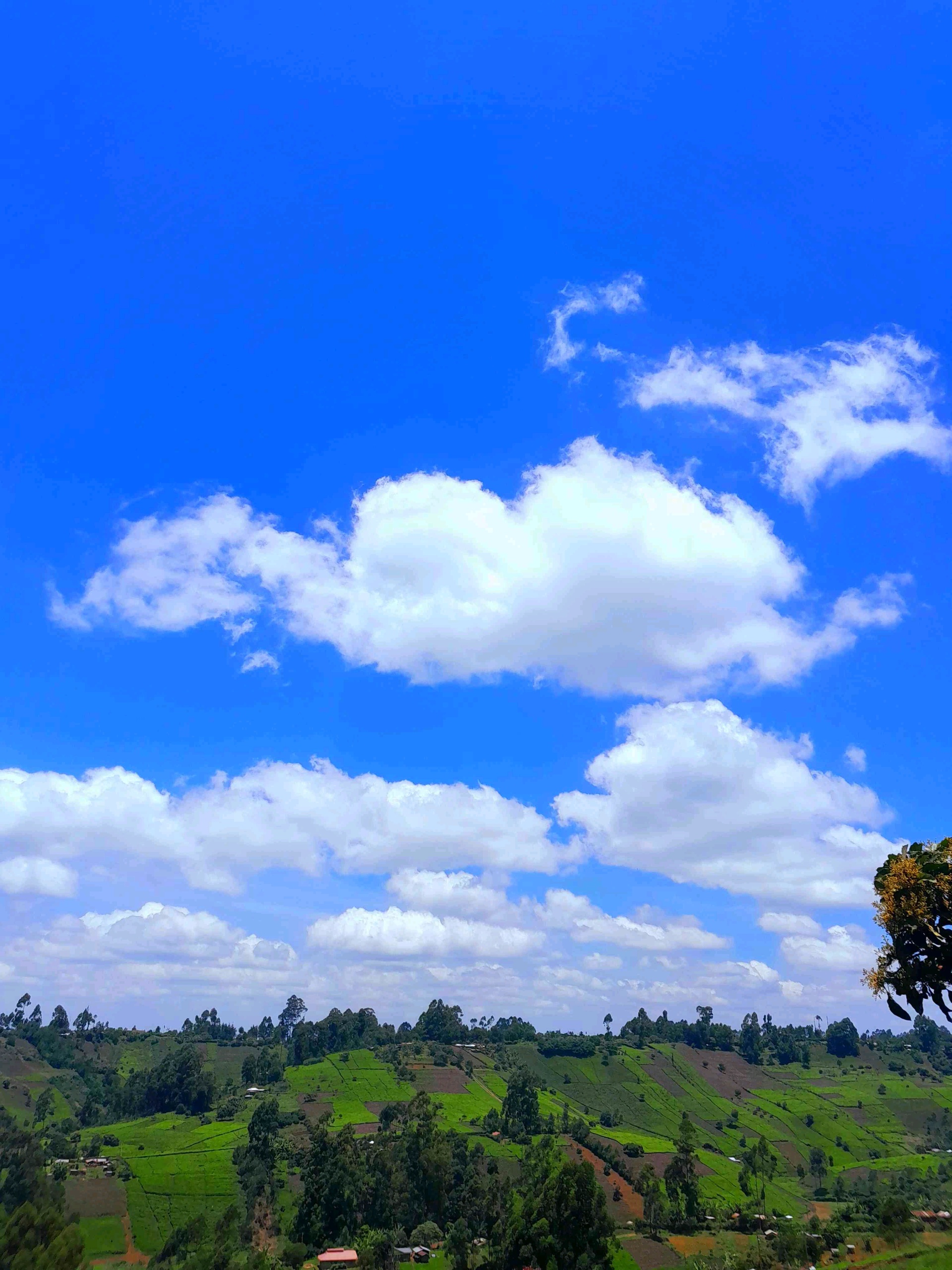 Karianjahi (karianjahi.lens) Lens social identity (.lens handle) PFP