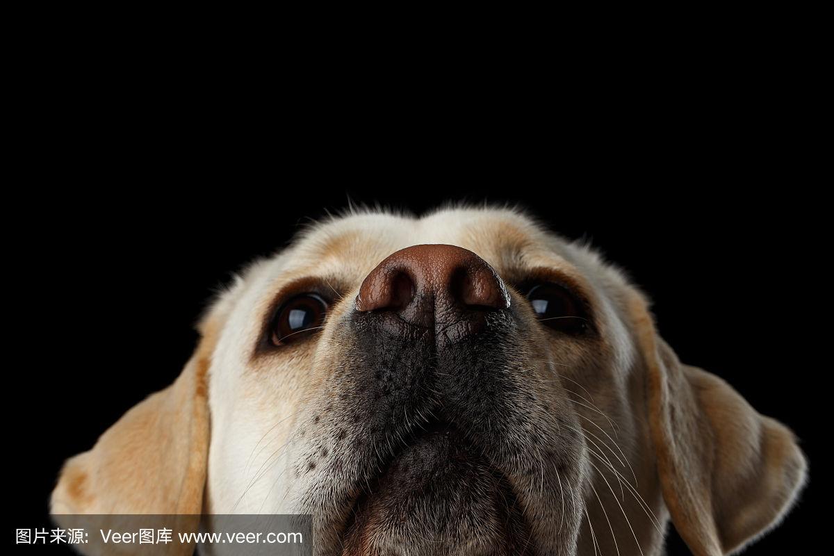 coolm (coolm.lens) Lens social identity (.lens handle) PFP