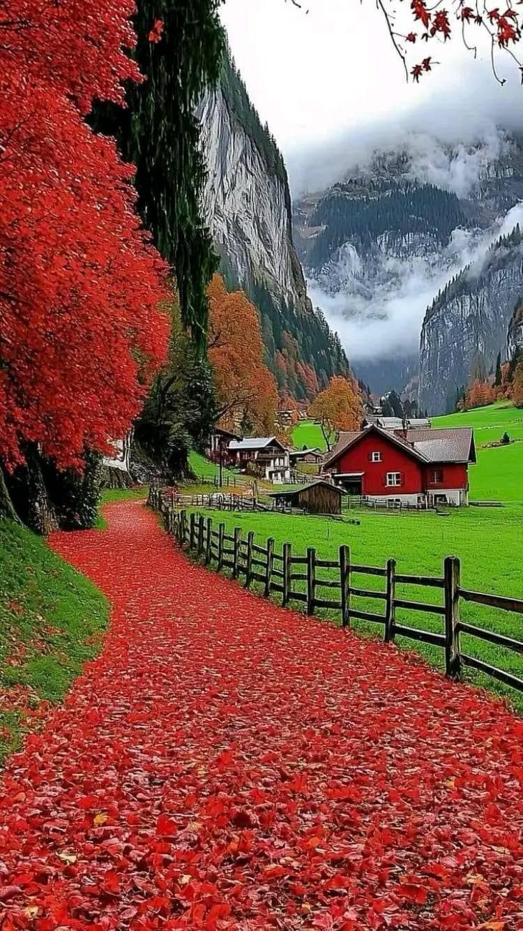 GZ (gzcupcake.lens) Lens social identity (.lens handle) PFP