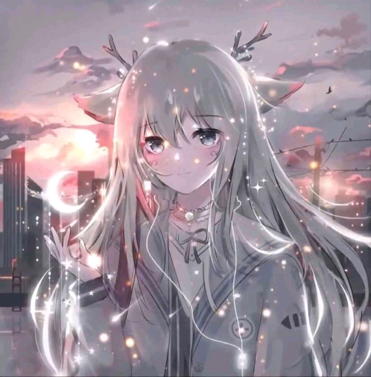 Đỗ (80192.lens) Lens social identity (.lens handle) PFP