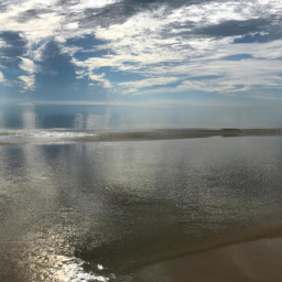 Skystride (cloudwalk.lens) Lens social identity (.lens handle) PFP