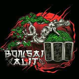 Bonsai Alit (bonsaialit.lens) Lens social identity (.lens handle) PFP