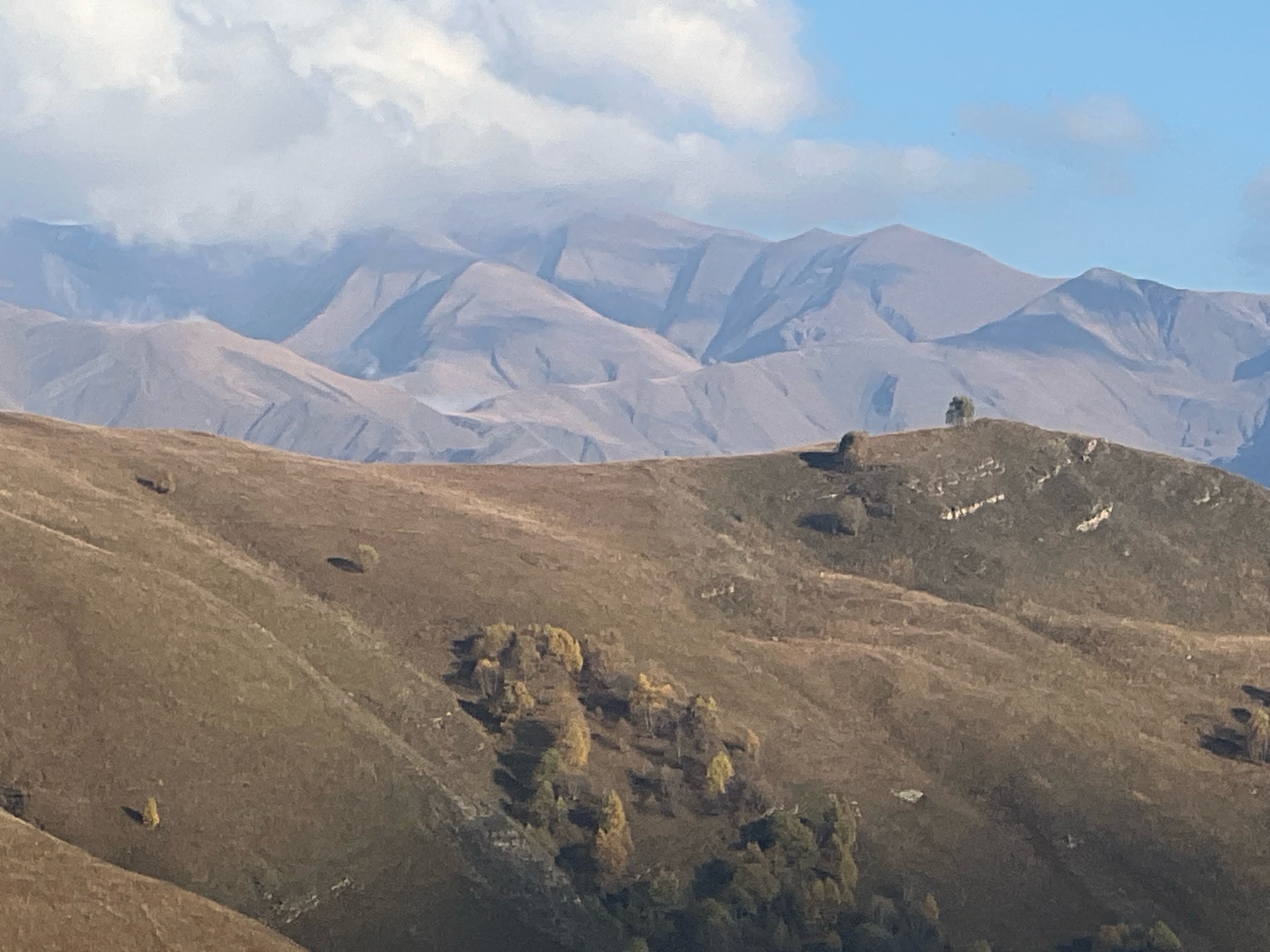 Mansurinyo (mansur3.lens) Lens social identity (.lens handle) PFP