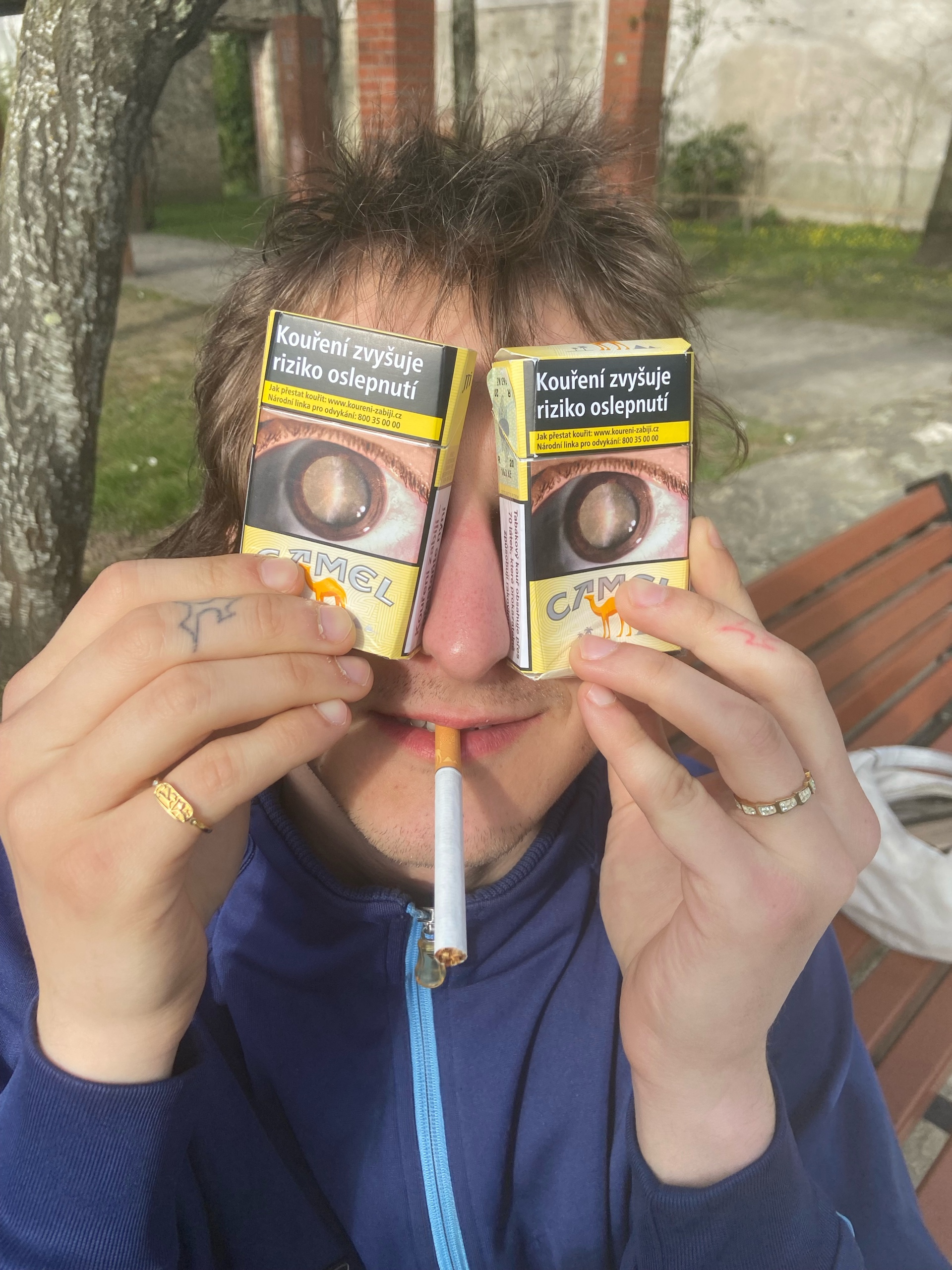 shoshone (shoshone.lens) Lens social identity (.lens handle) PFP