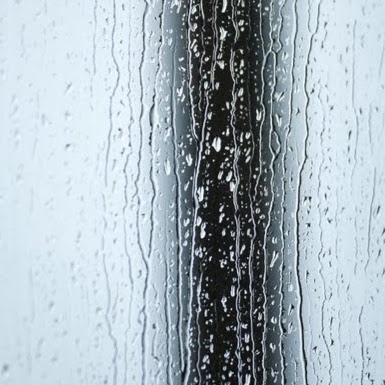 truthpurity (truthpurity.lens) Lens social identity (.lens handle) PFP