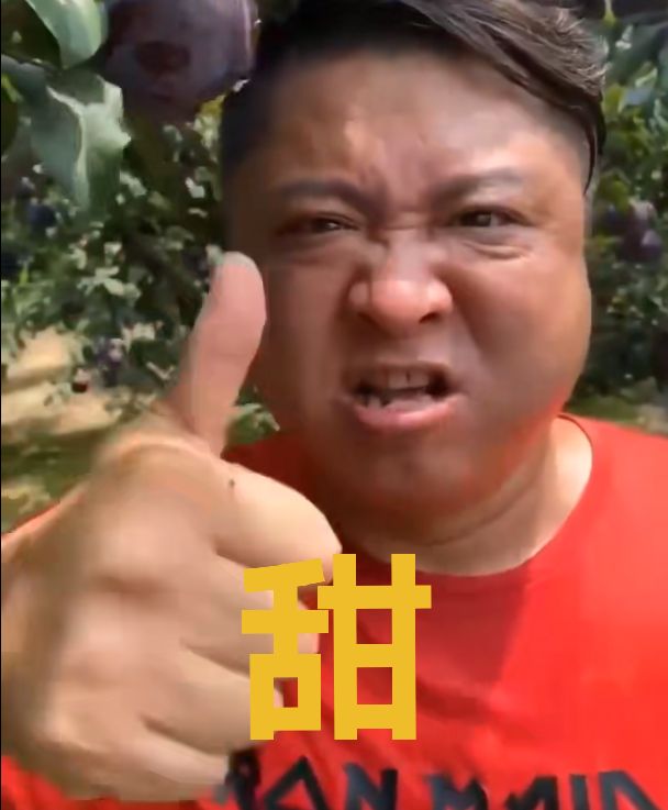 baofu.lens Lens social identity (.lens handle) PFP