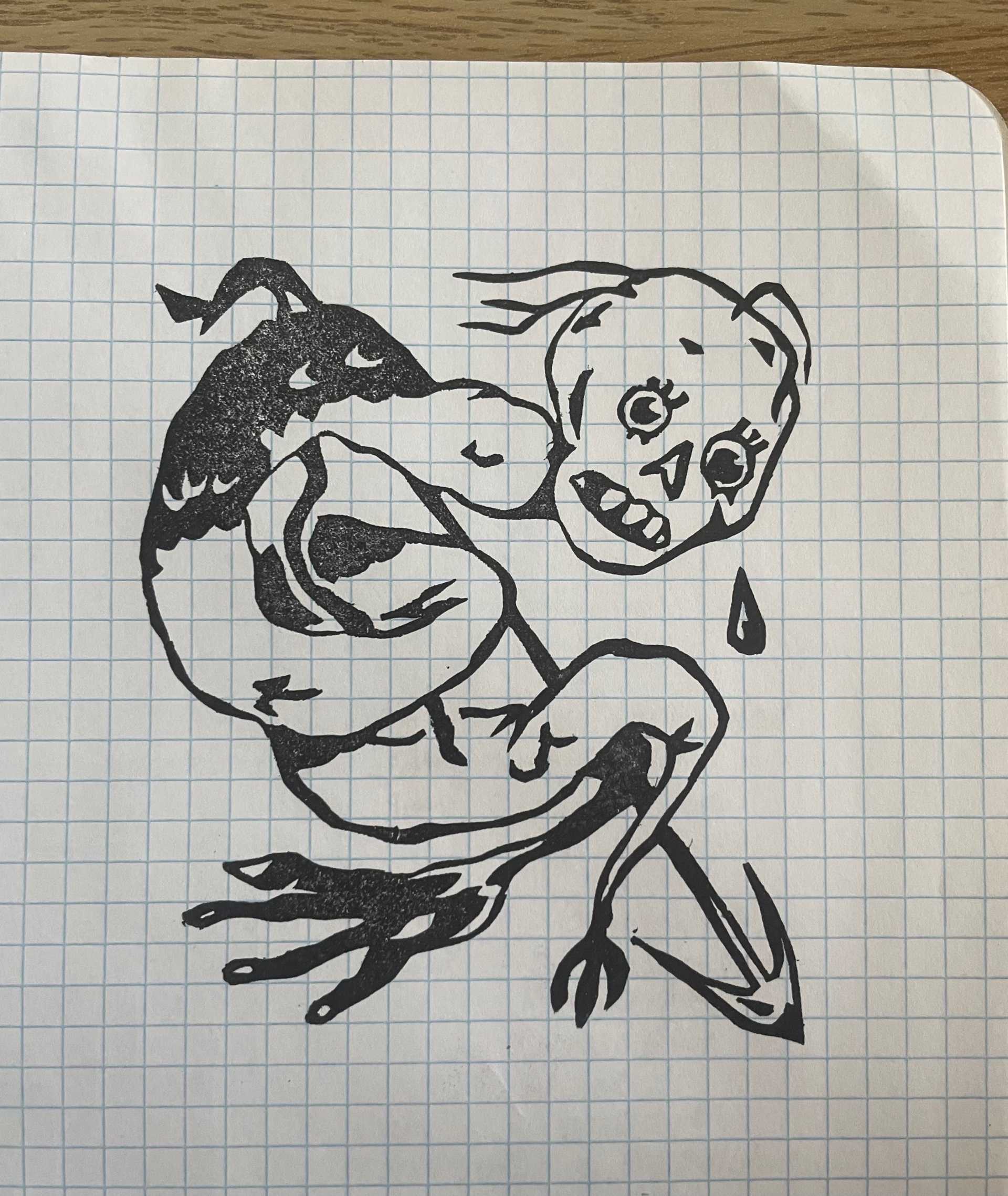 Xander (deezly.lens) Lens social identity (.lens handle) PFP