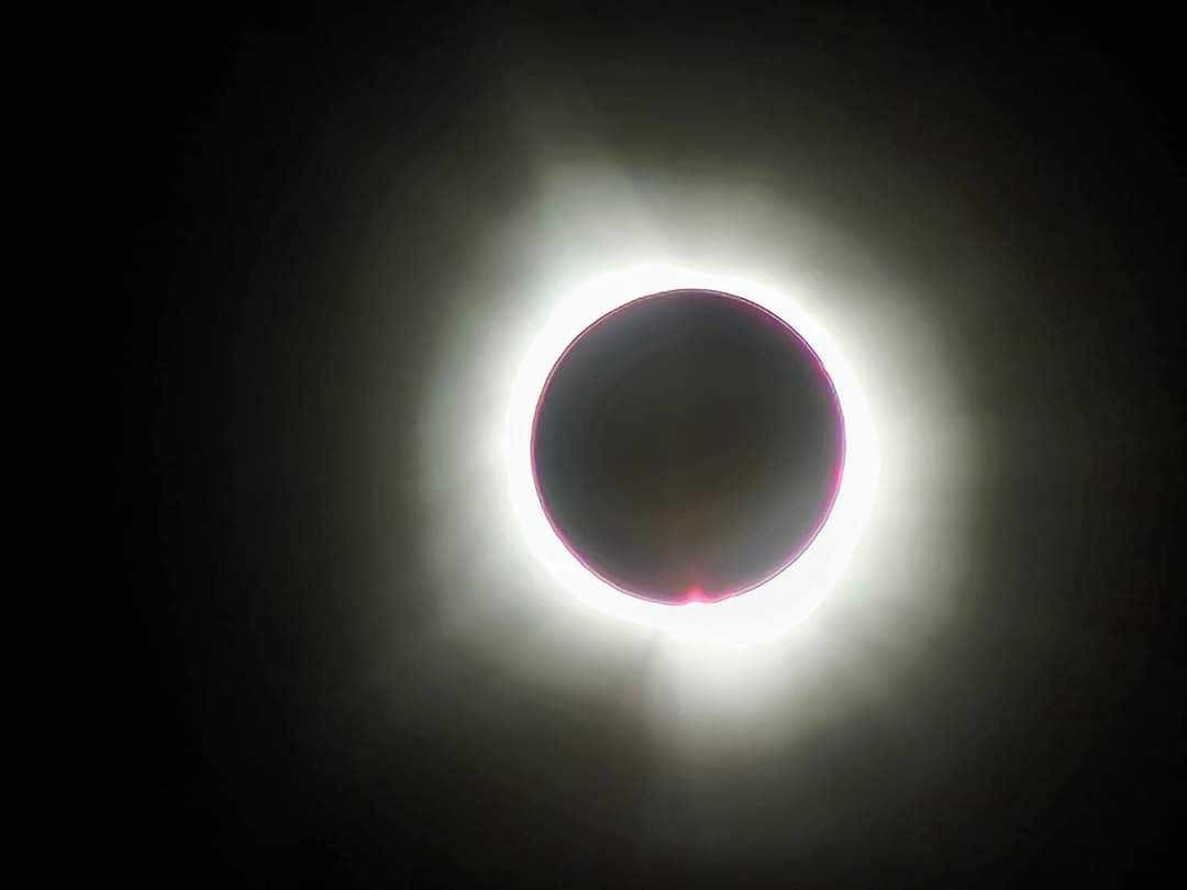 ncc (seamsocial.lens) Lens social identity (.lens handle) PFP