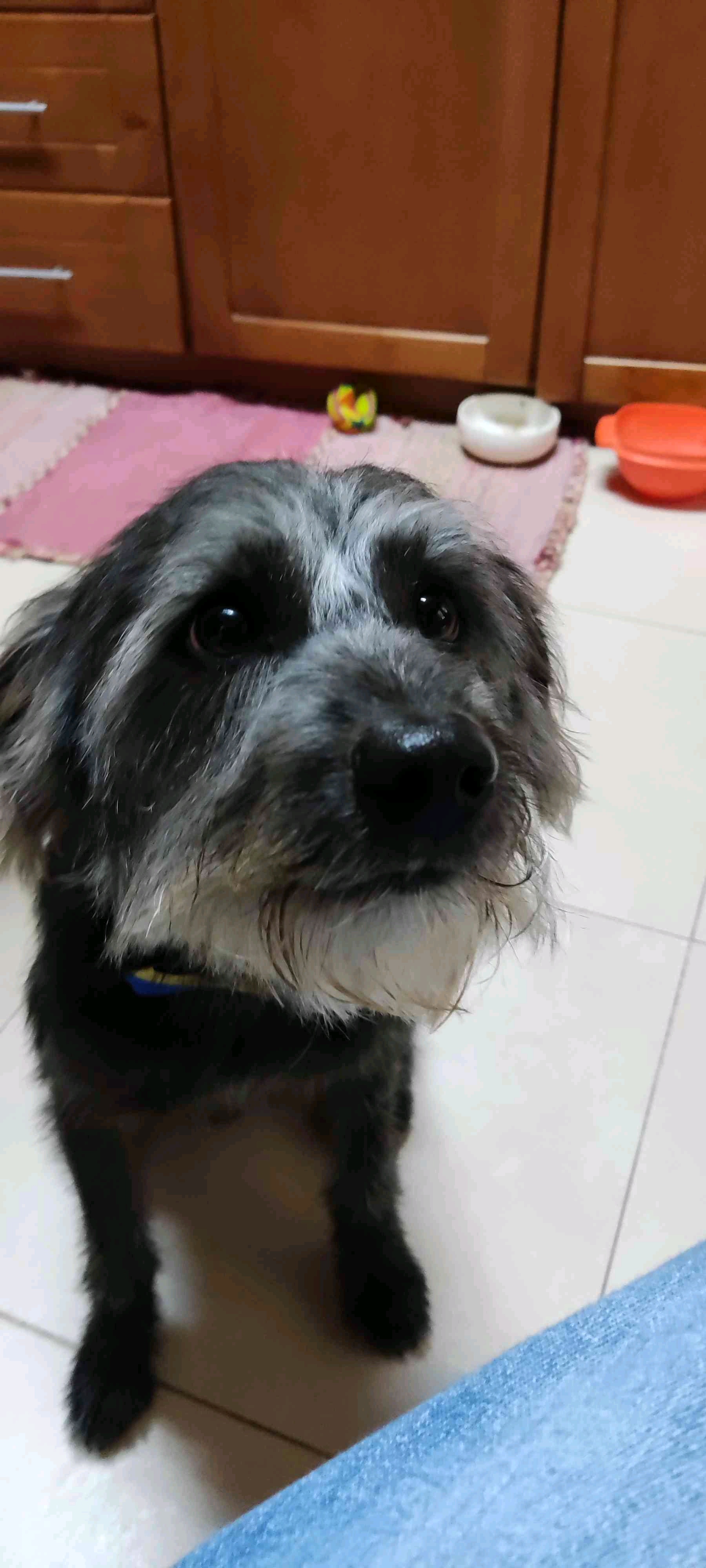 Ricardo Pinheiro (ricardopinheiro79.lens) Lens social identity (.lens handle) PFP