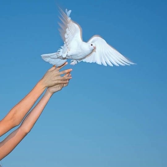 ramesh jadhav (rameshjadhav.lens) Lens social identity (.lens handle) PFP