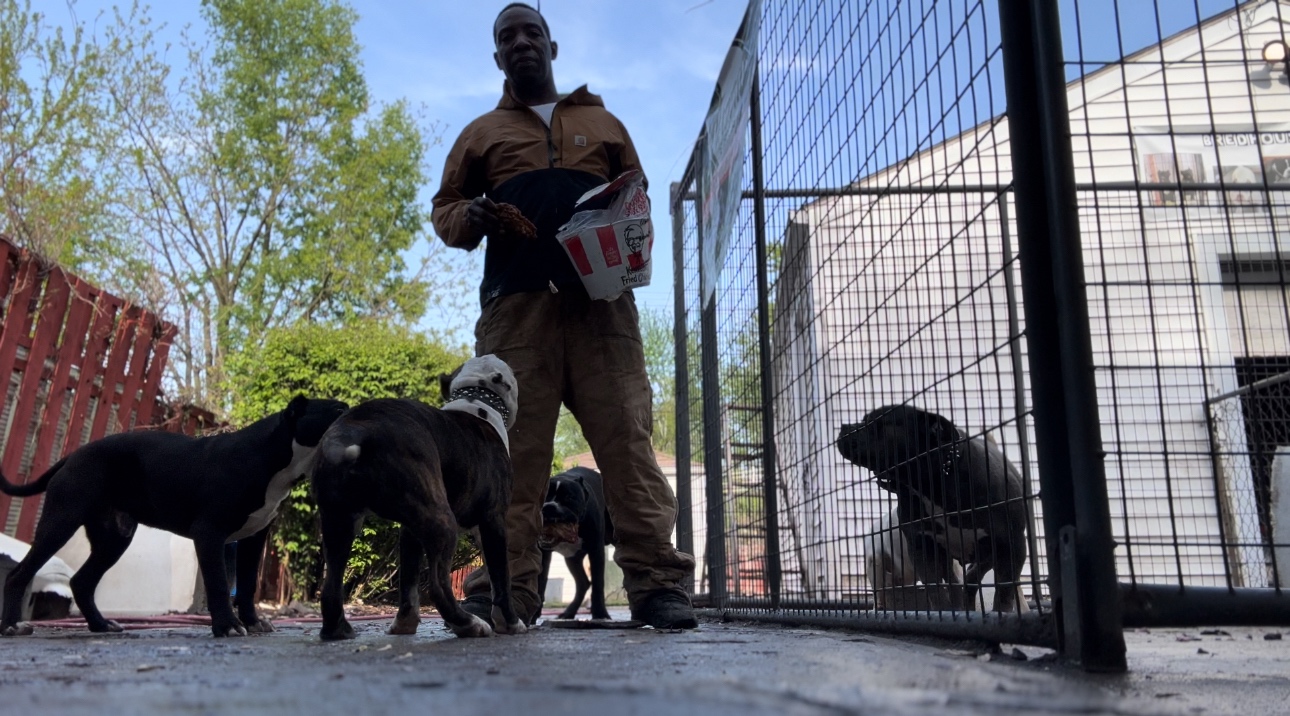 Ricky (bredhouse.lens) Lens social identity (.lens handle) PFP