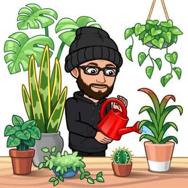 cryptohodlbr (cryptohodlbr.lens) Lens social identity (.lens handle) PFP