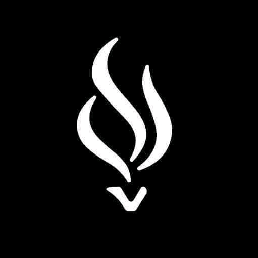 vesselmediallc.lens Lens social identity (.lens handle) PFP