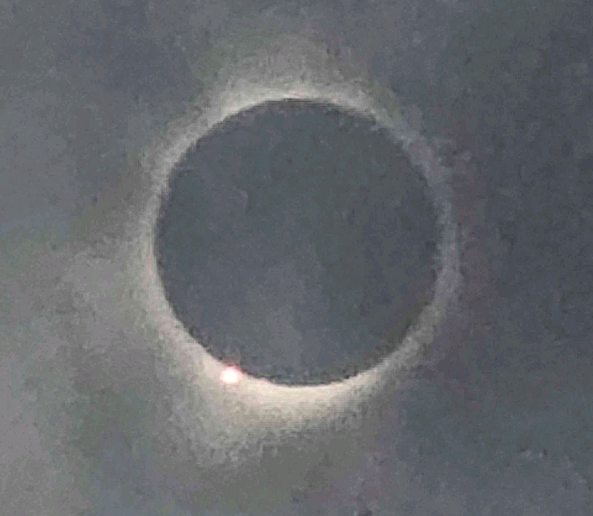 patty (whirled360.lens) Lens social identity (.lens handle) PFP