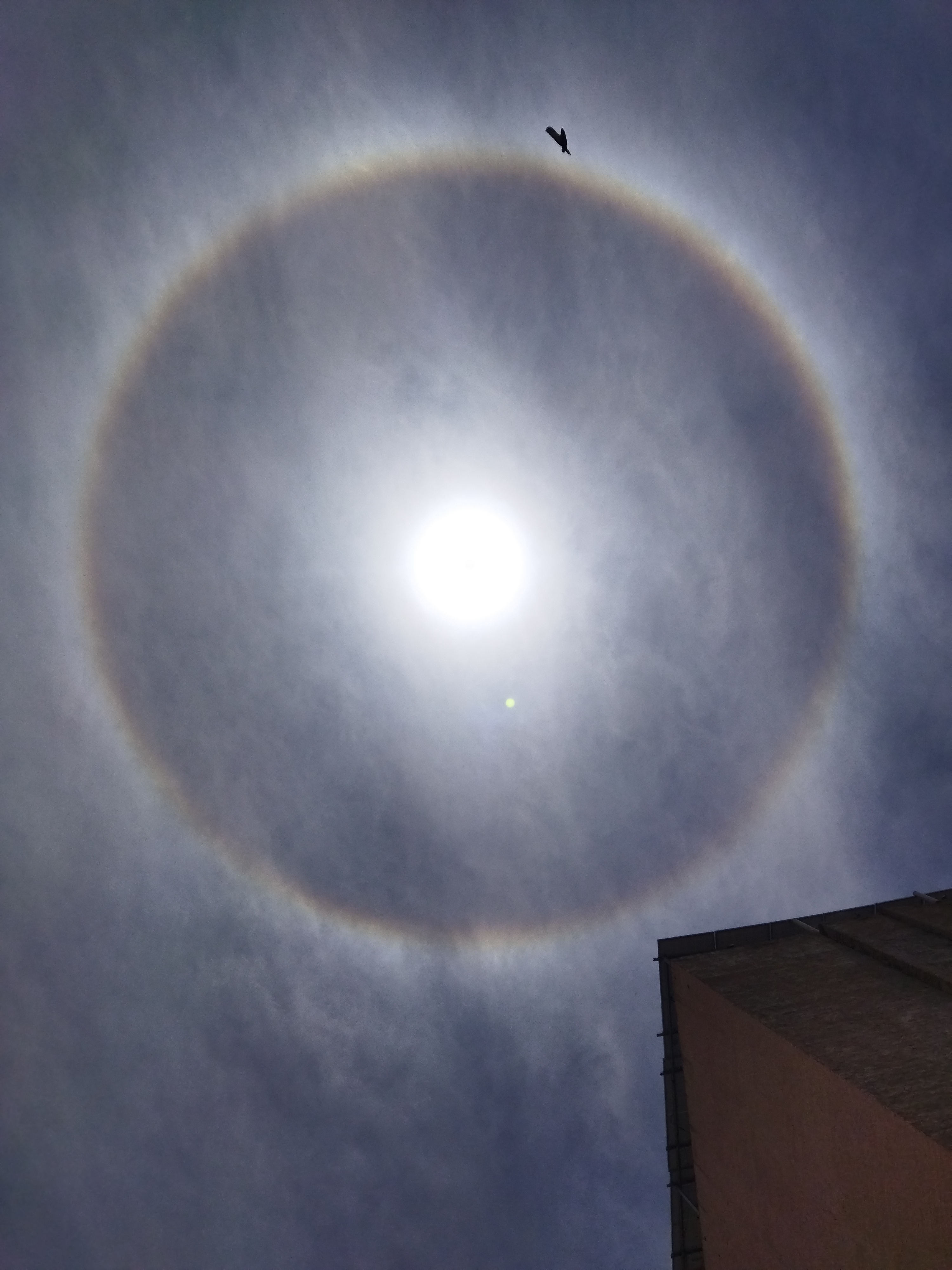 raghu (raghu.lens) Lens social identity (.lens handle) PFP