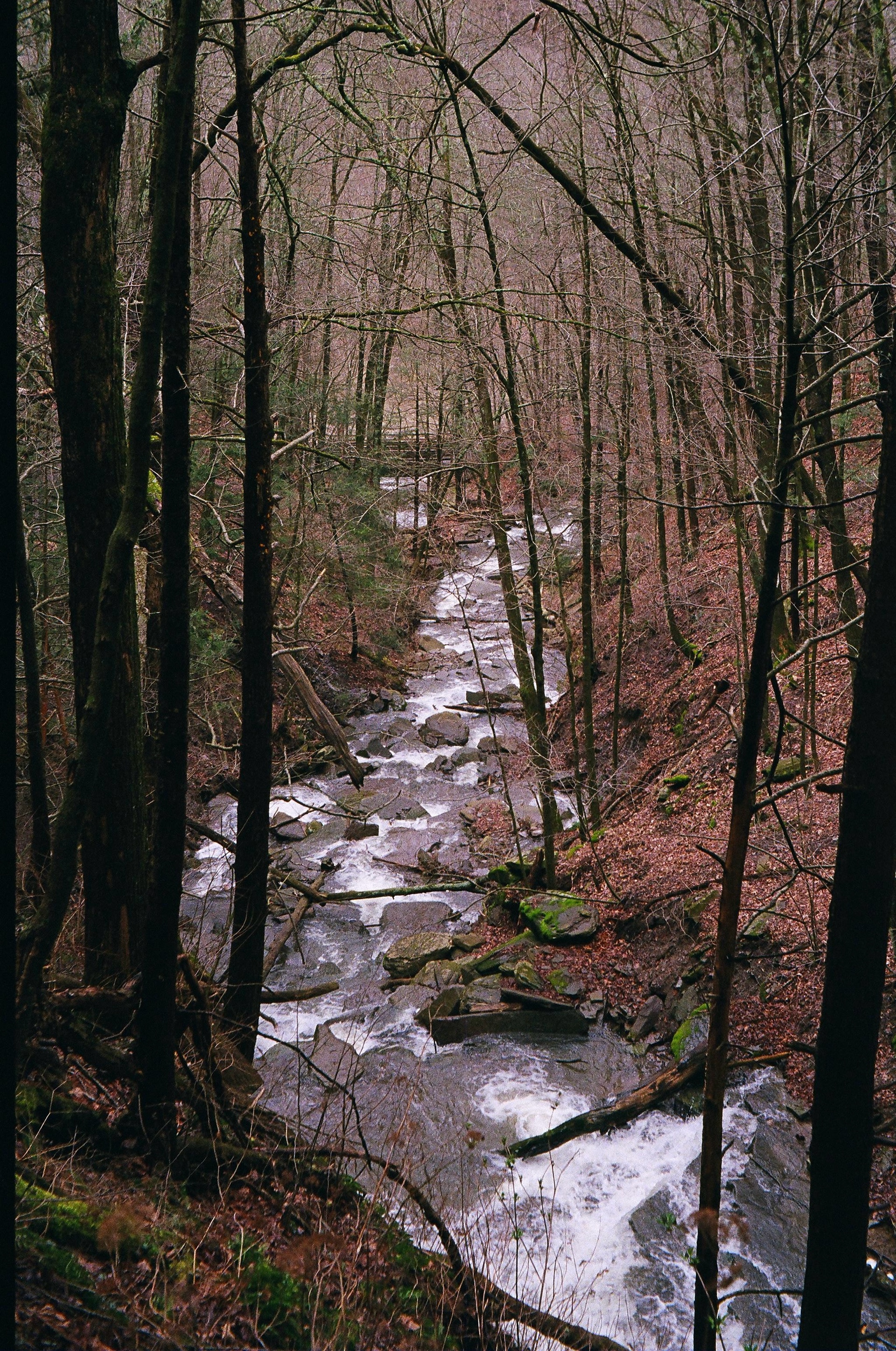 Andrew Iannacone (icone.lens) Lens social identity (.lens handle) PFP