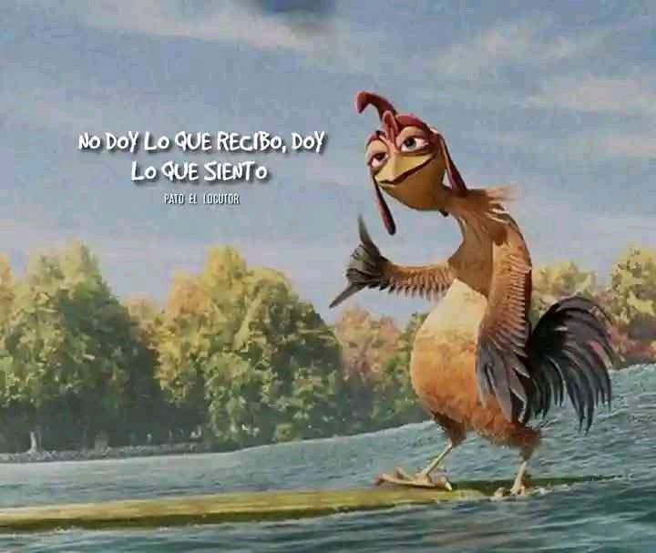 eltio (luintapias.lens) Lens social identity (.lens handle) PFP