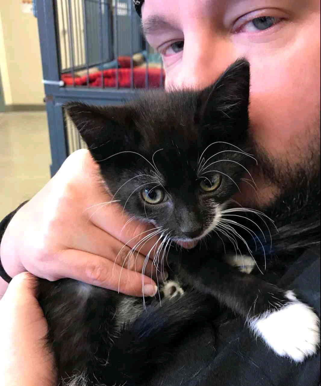 lil$ha (lilsha.lens) Lens social identity (.lens handle) PFP