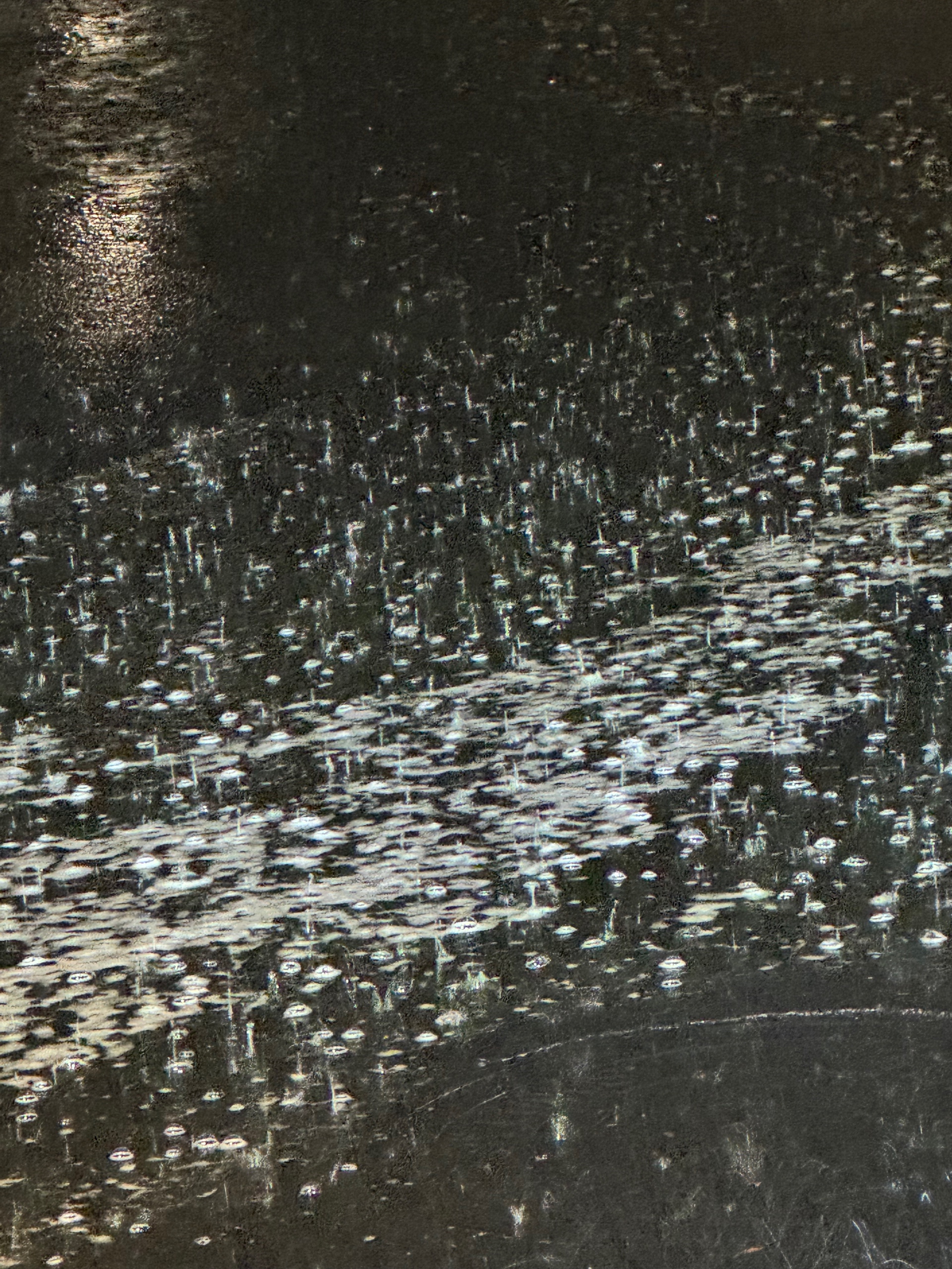 manisha11.lens Lens social identity (.lens handle) PFP