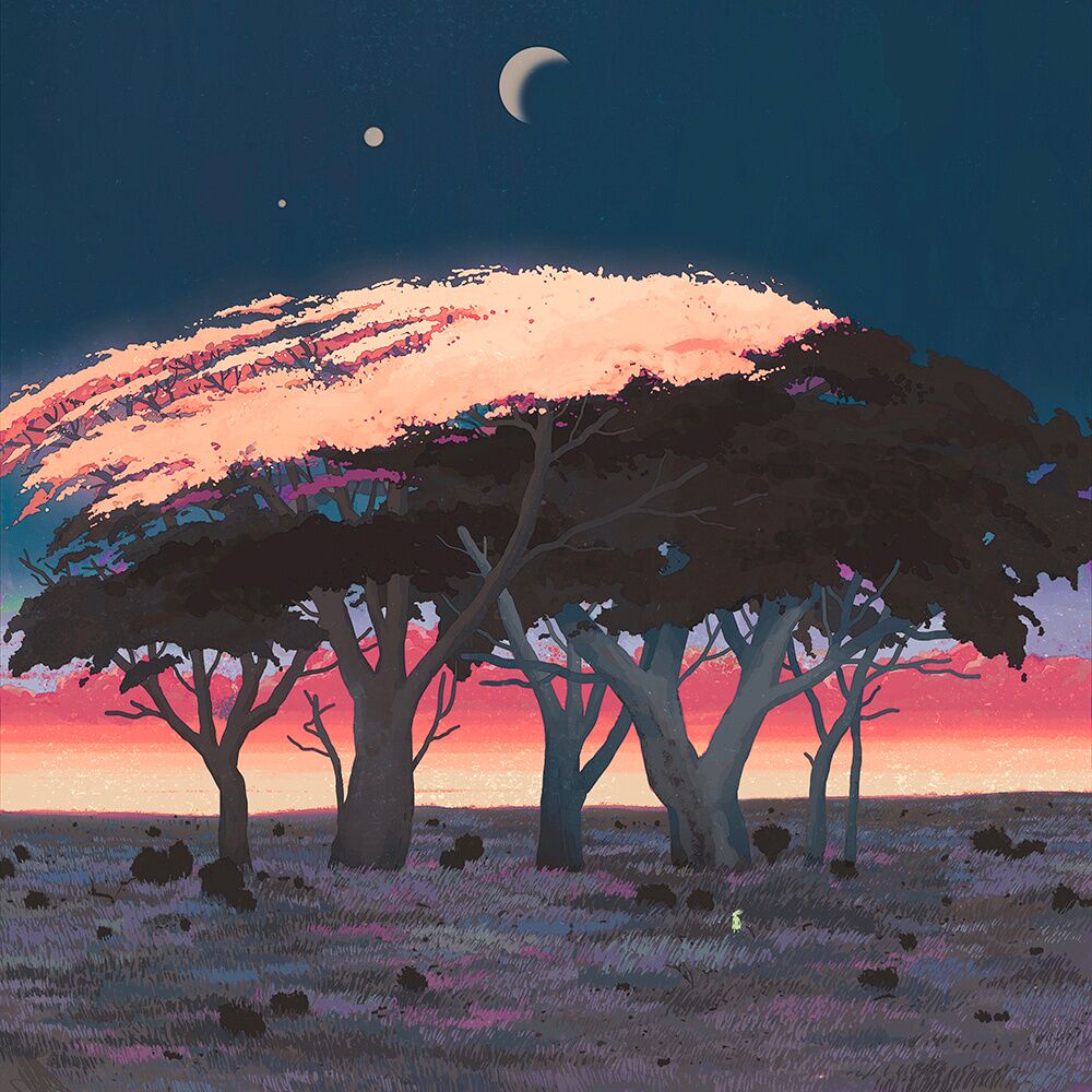 linlinlin.lens Lens social identity (.lens handle) PFP