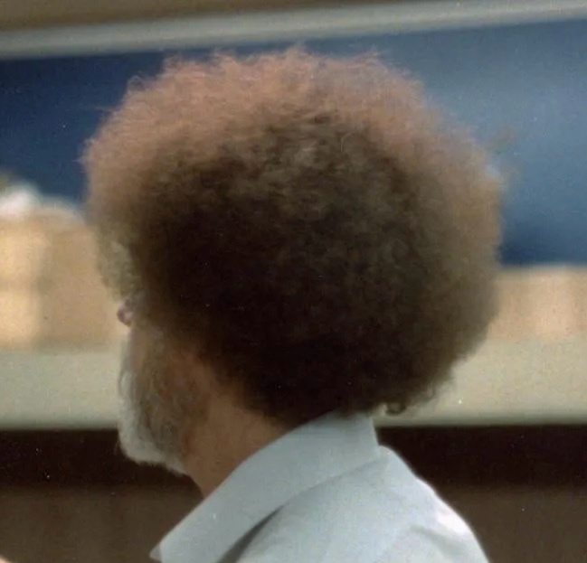 Eddy (cheddy.lens) Lens social identity (.lens handle) PFP