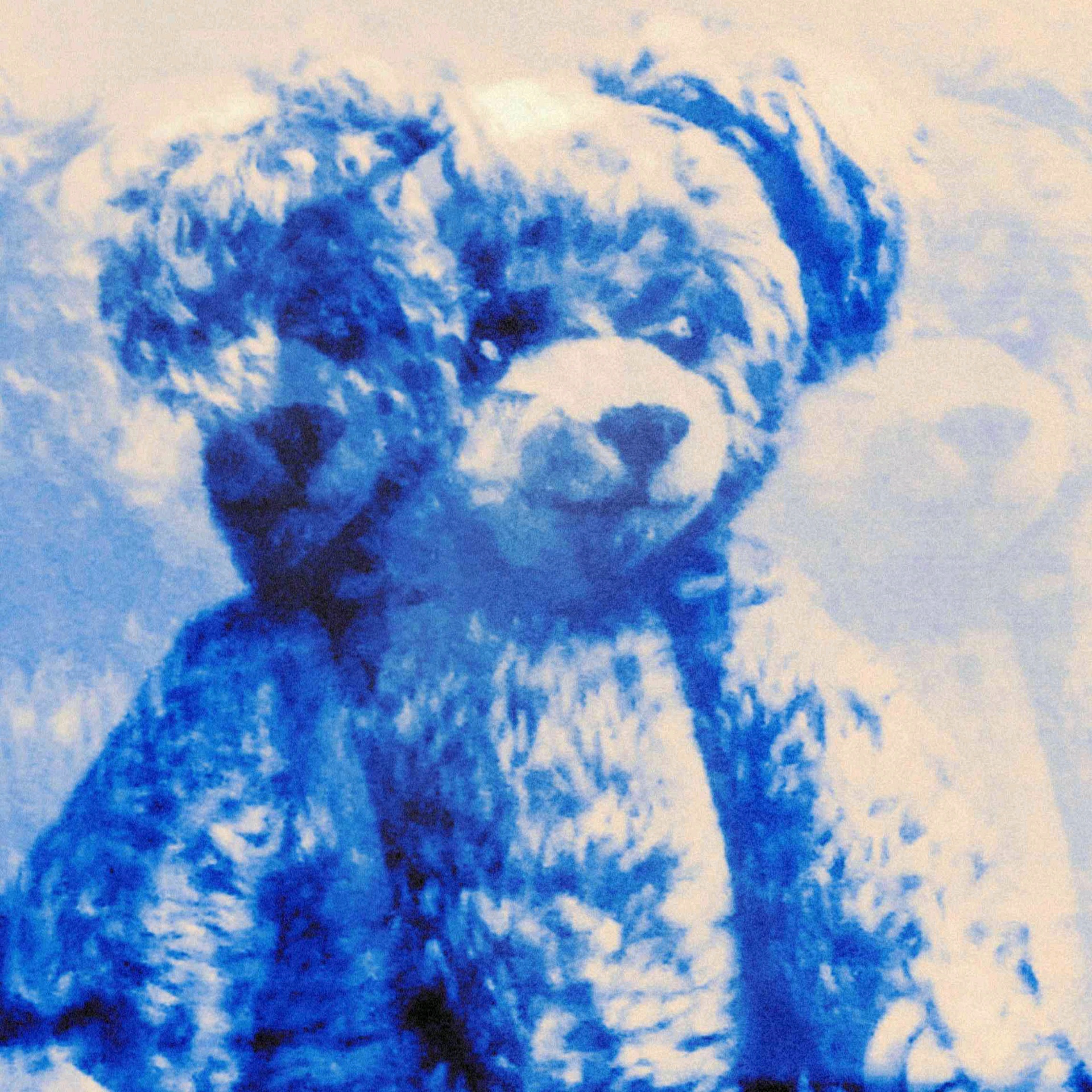 Teddy Is Offline (teddyisoffline.lens) Lens social identity (.lens handle) PFP