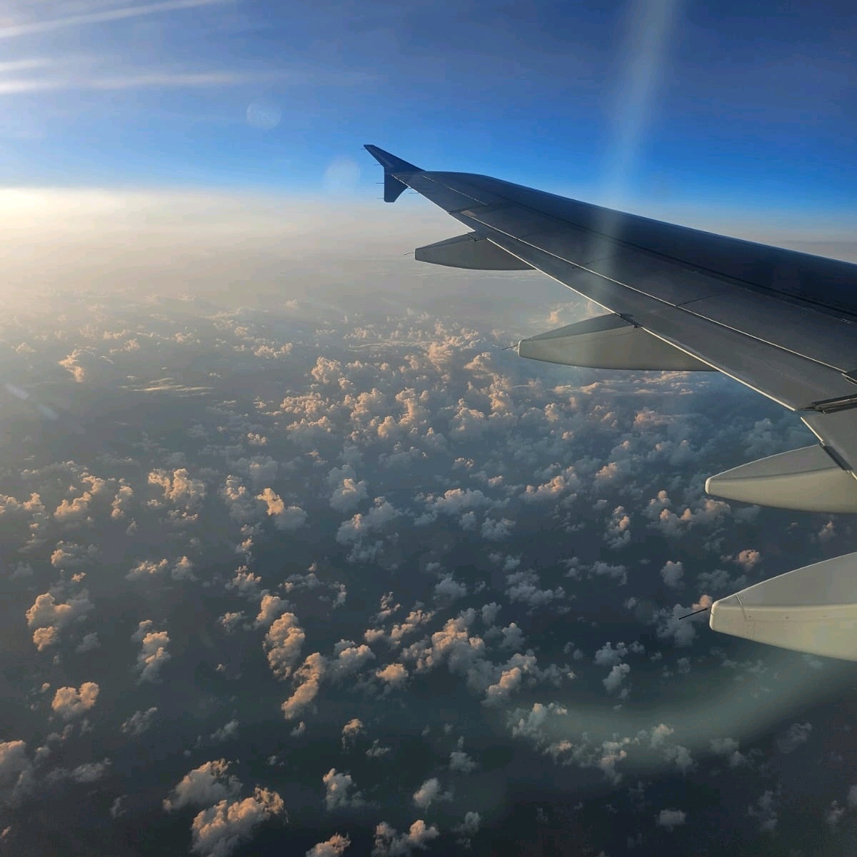 Sallak (msallak.lens) Lens social identity (.lens handle) PFP