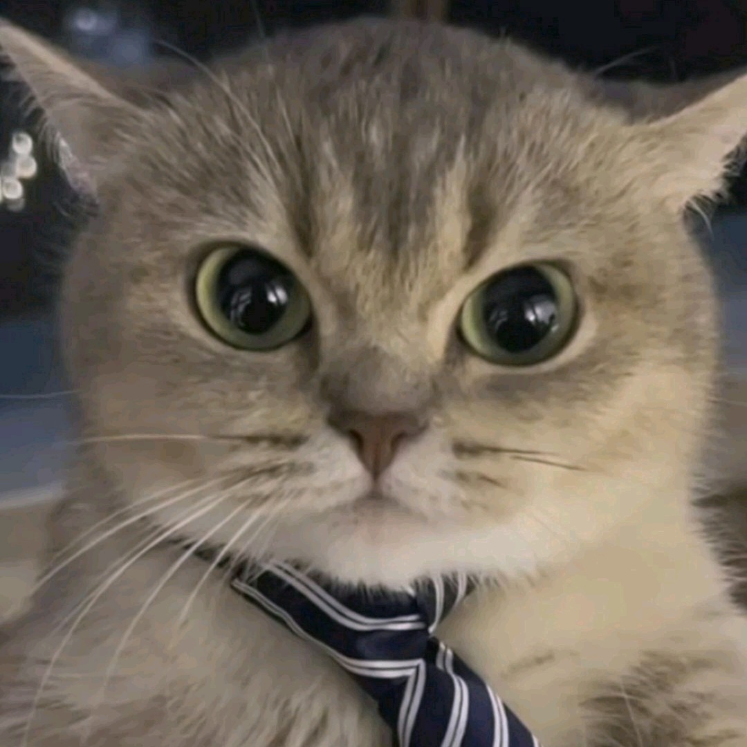 cryptojb (shruti.lens) Lens social identity (.lens handle) PFP