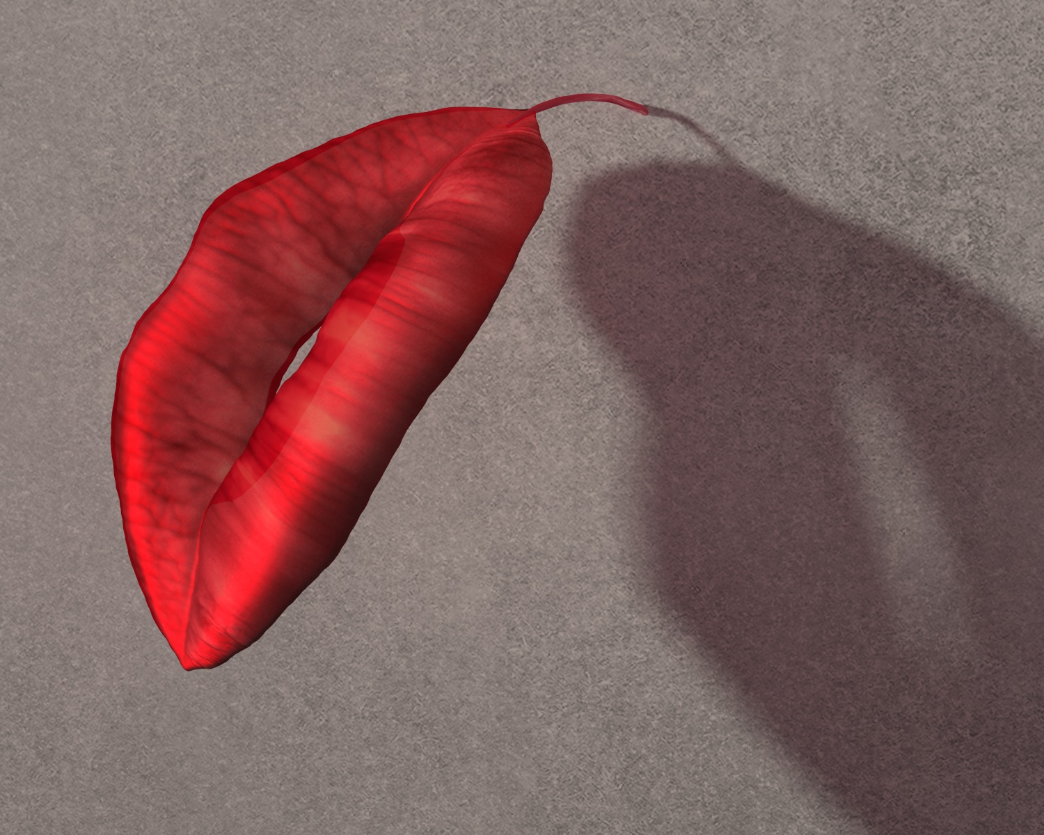 guillochy (guillochy.lens) Lens social identity (.lens handle) PFP