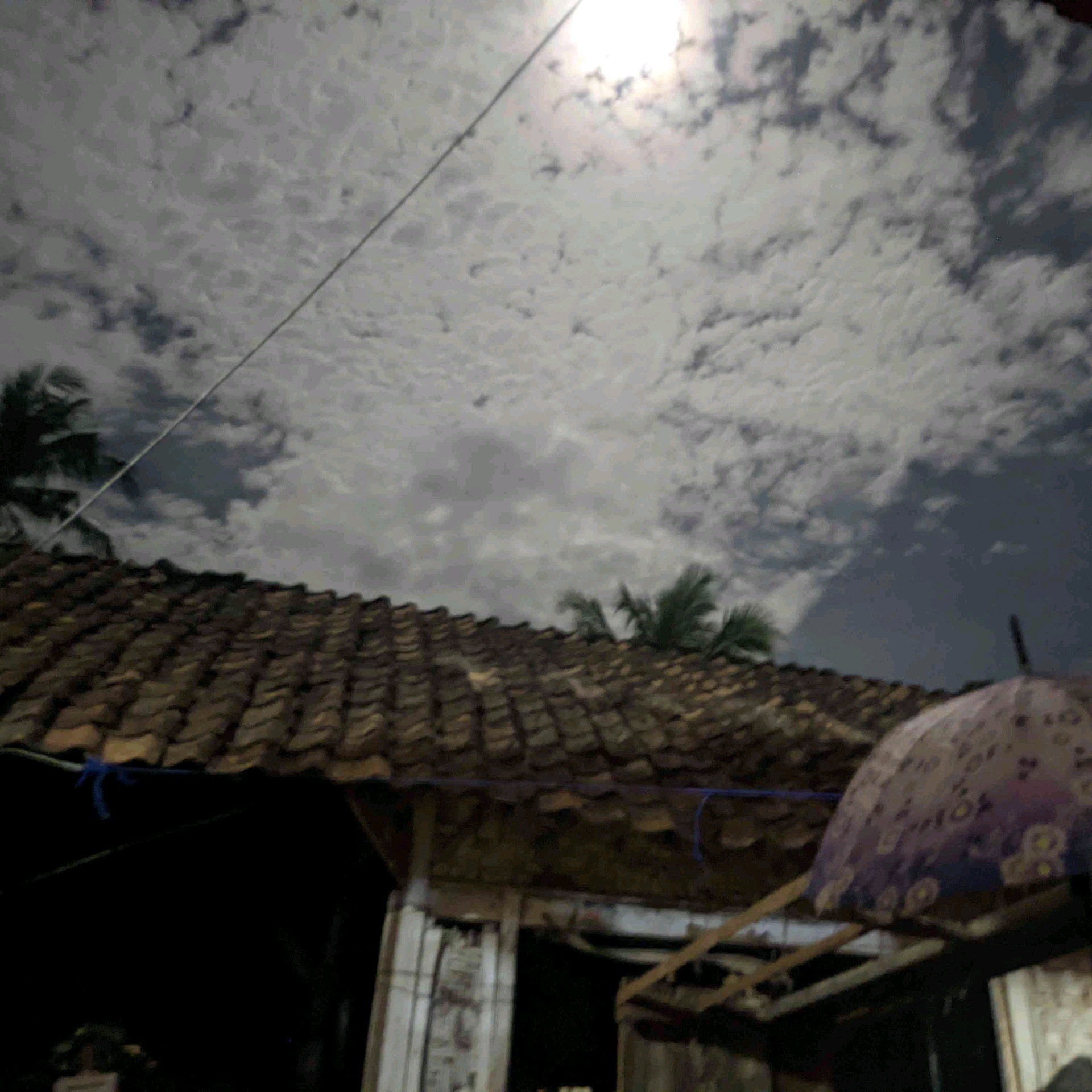 Aselc (aselc.lens) Lens social identity (.lens handle) PFP