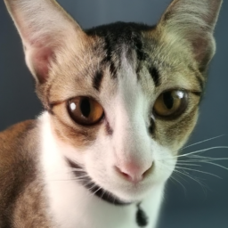 actiblizz (activisionblizzard.lens) Lens social identity (.lens handle) PFP