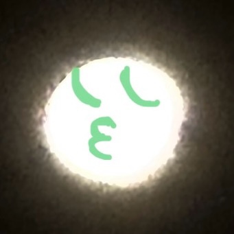 ally (thalf0.lens) Lens social identity (.lens handle) PFP