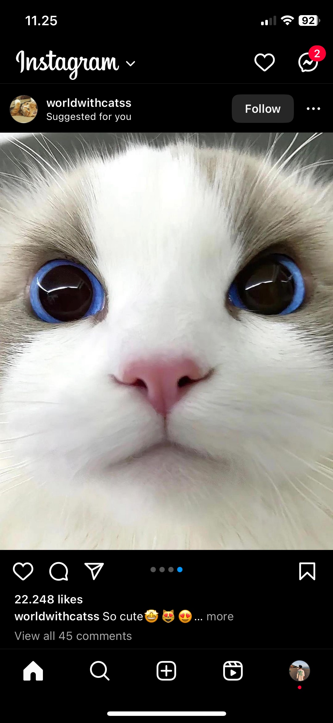 Alib (0xalib.lens) Lens social identity (.lens handle) PFP