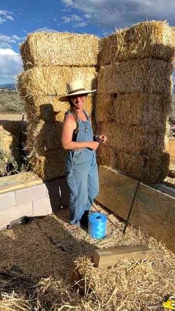 johannad (johannad.lens) Lens social identity (.lens handle) PFP