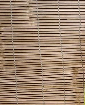 Bindiya (bindiya.lens) Lens social identity (.lens handle) PFP