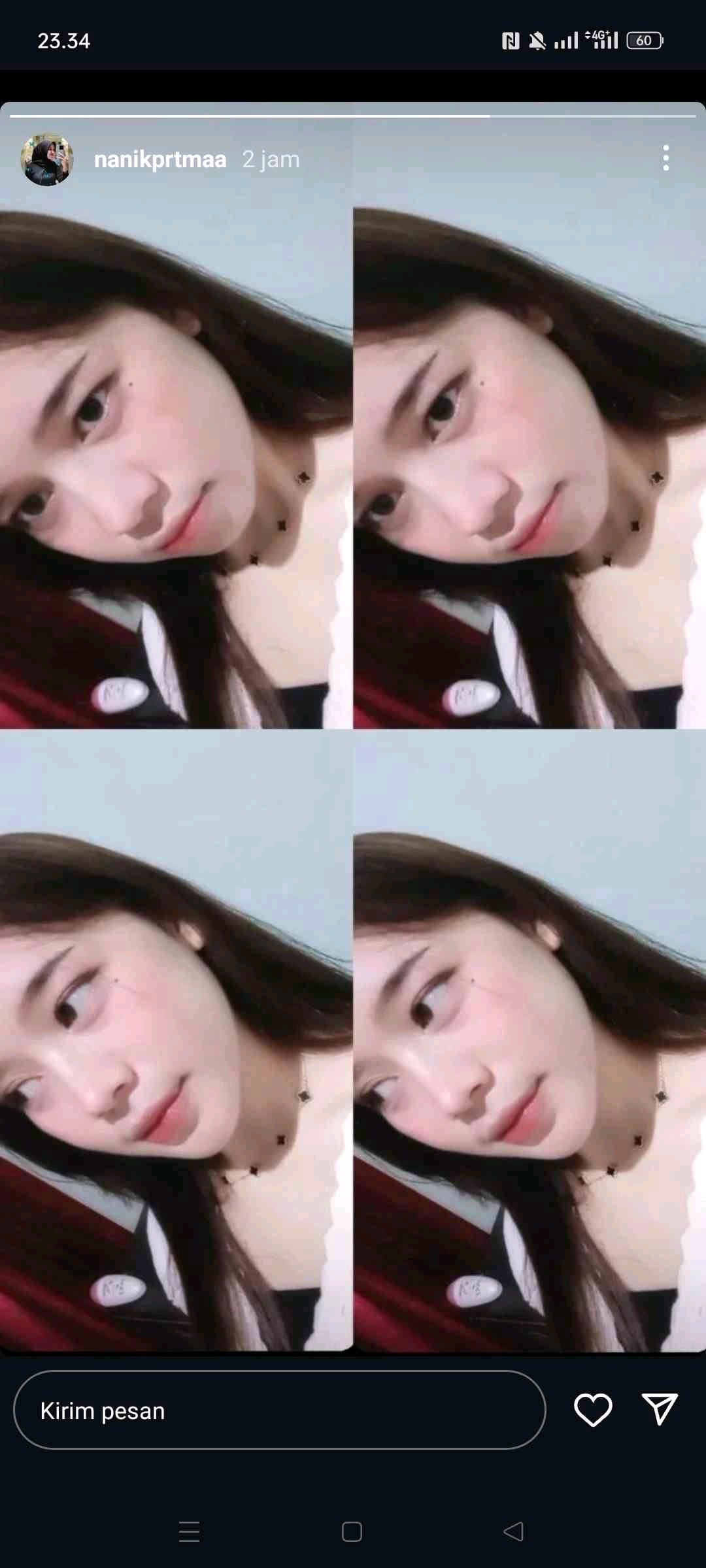 Nanik Pratama Putri (nanikk.lens) Lens social identity (.lens handle) PFP