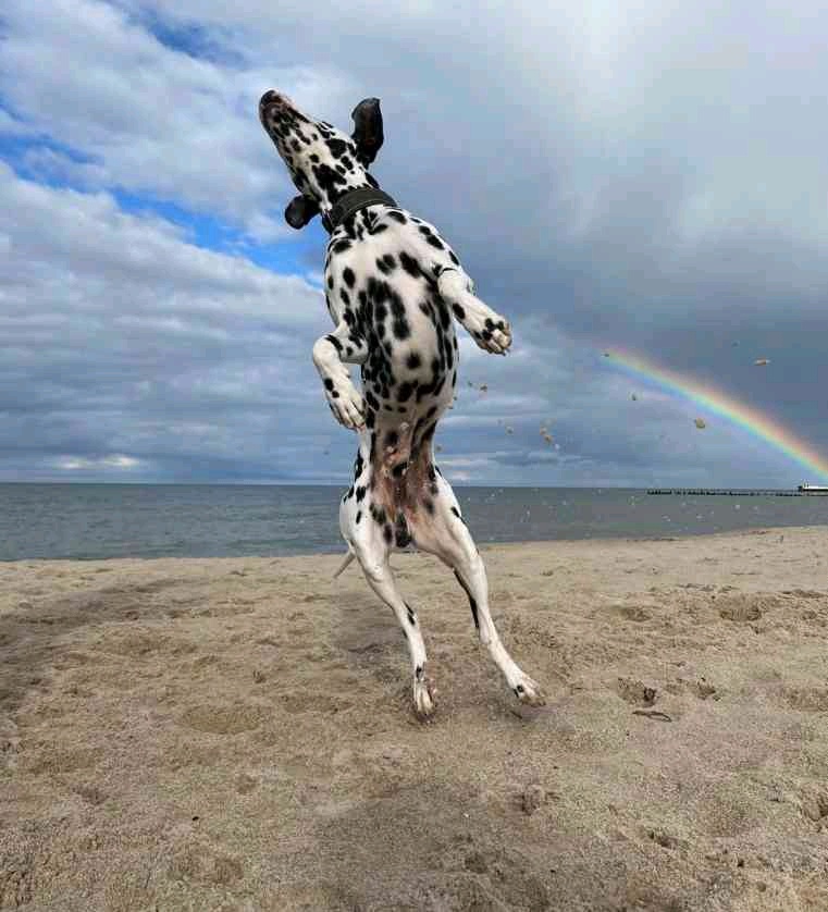 Wichagen (wichagen.lens) Lens social identity (.lens handle) PFP